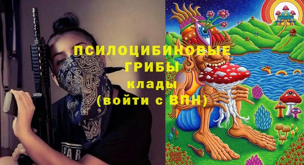 ГАЛЛЮЦИНОГЕННЫЕ ГРИБЫ Волосово